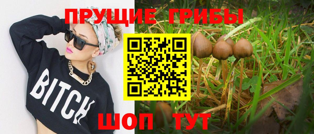 Псилоцибиновые грибы ЛСД Набережные Челны